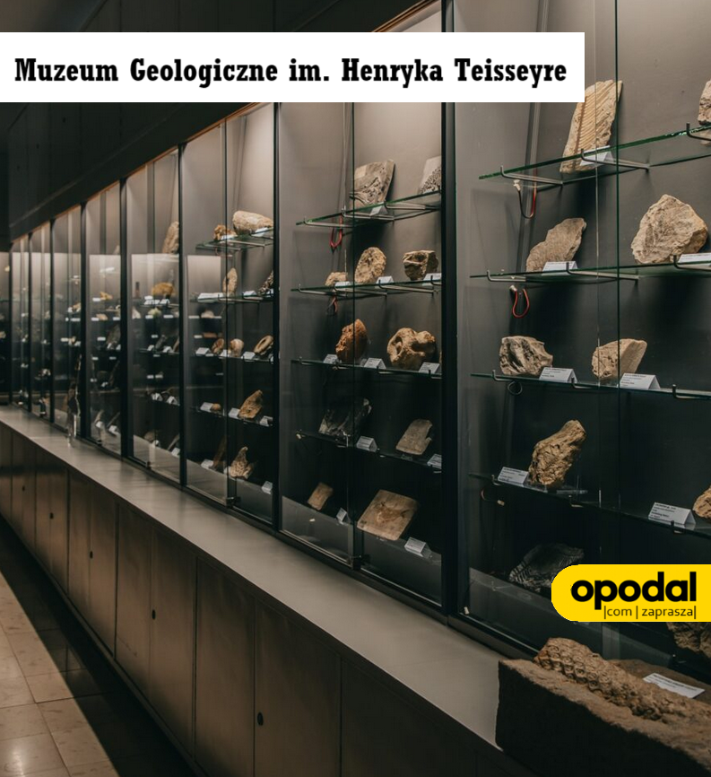 Muzeum Geologiczne im. Henryka Teisseyre